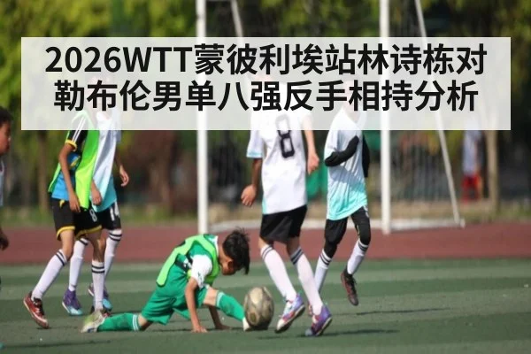 2026WTT蒙彼利埃站林诗栋对勒布伦男单八强反手相持分析