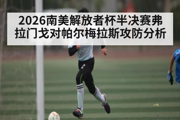 2026南美解放者杯半决赛弗拉门戈对帕尔梅拉斯攻防分析